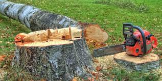 Best Utility Line Clearance  in Lake Cherokee, TX
