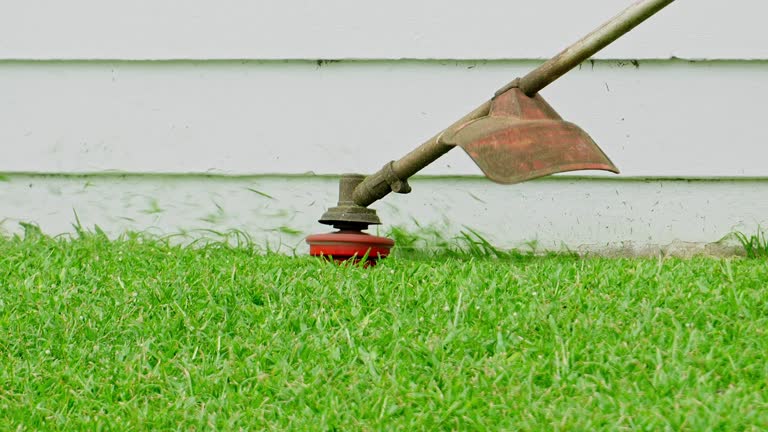 Best Tree and Shrub Care  in Lake Cherokee, TX